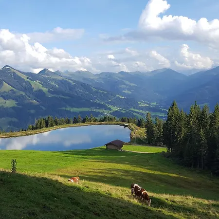 Hohe Salve By Interhome * Salvenberg